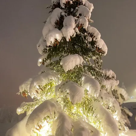 Ca' De Sass Bed & Breakfast Pila (Valle d'Aosta)